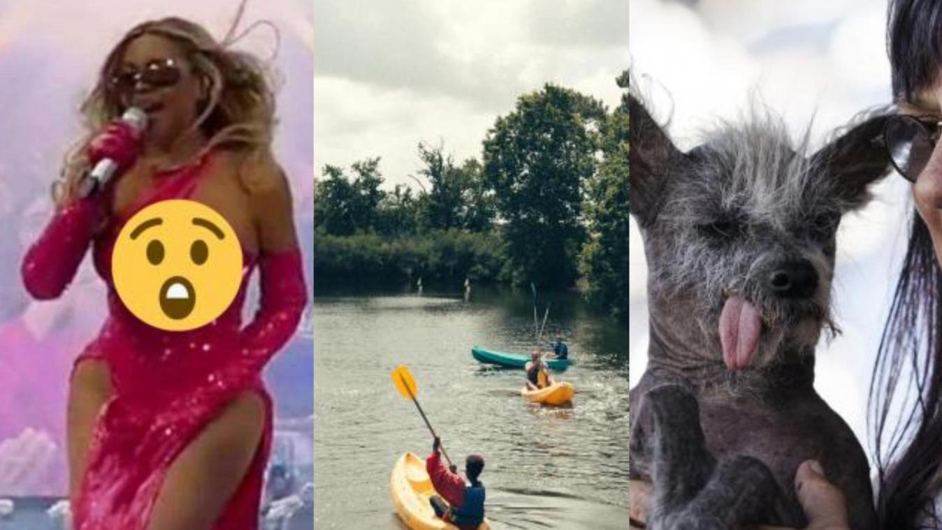 Het belangrijkste nieuws van 26 juni: Amerikaanse kustwacht start onderzoek naar implosie Titan, Beyoncé toont bijna een tepel en dit is de lelijkste hond ter wereld