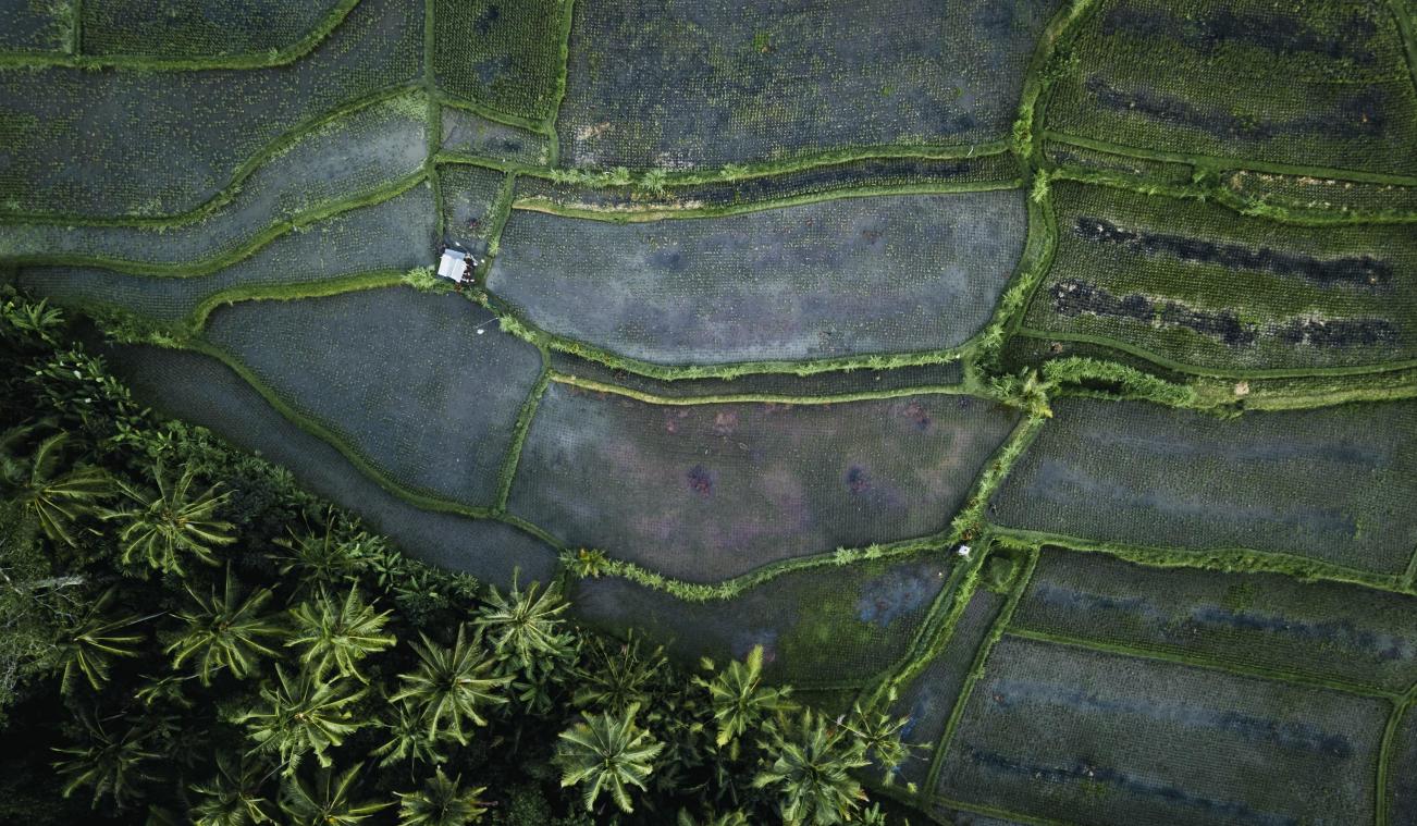 OEPS. Filipijnen maken reclamefilmpje voor eigen land met beelden uit andere landen (video)