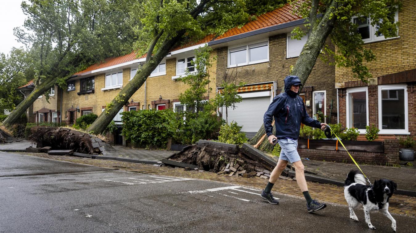 Storm Poly: vrouw overleden in Haarlem