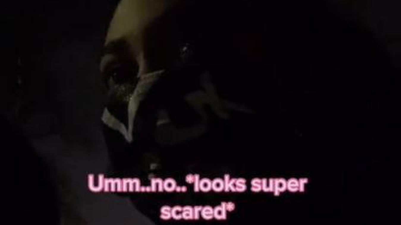 WOW. Vrouw redt meisje van creepy man: «Heb je een lift nodig?» (video)