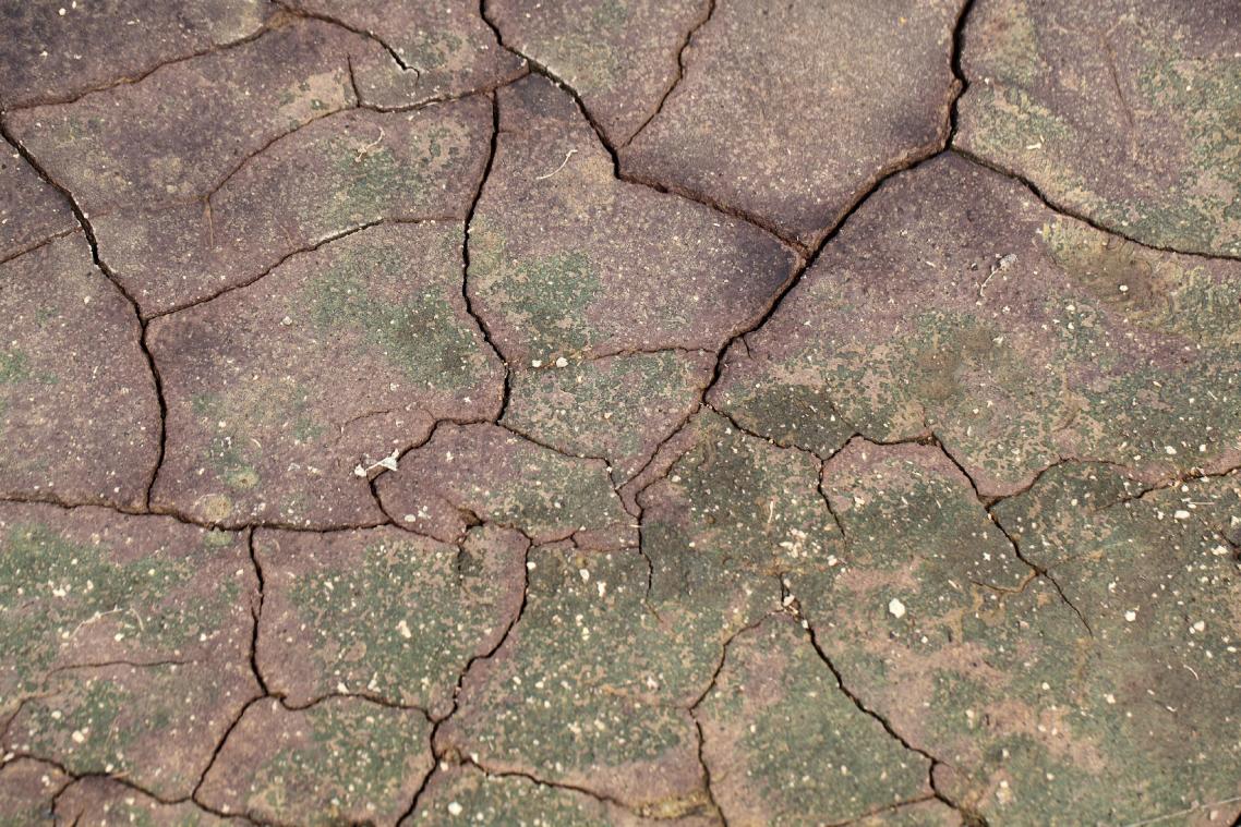 Warmste juni ooit achter de rug
