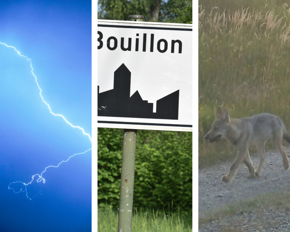 Het belangrijkste nieuws van 9 juli: hevig onweer trekt over het land, KLJ-groep bedreigd met messen, schapenboer aangevallen door wolf