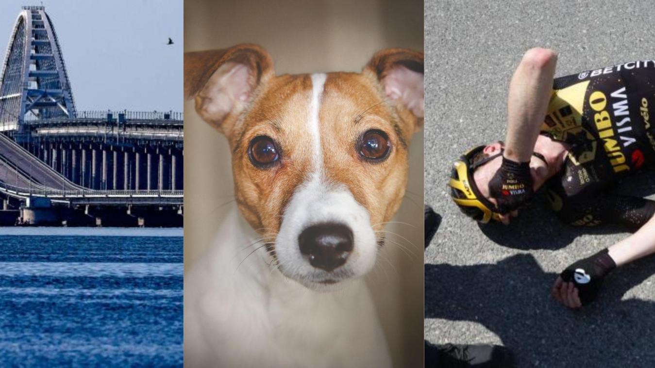 Het belangrijkste nieuws van 17 juli: Hond overleeft val van 60 meter, Russen melden dodelijk «noodgeval» op Krimbrug,Toeschouwer geïdentificeerd die massale valpartij veroorzaakte en Migranten verrassend gered middenin woestijn