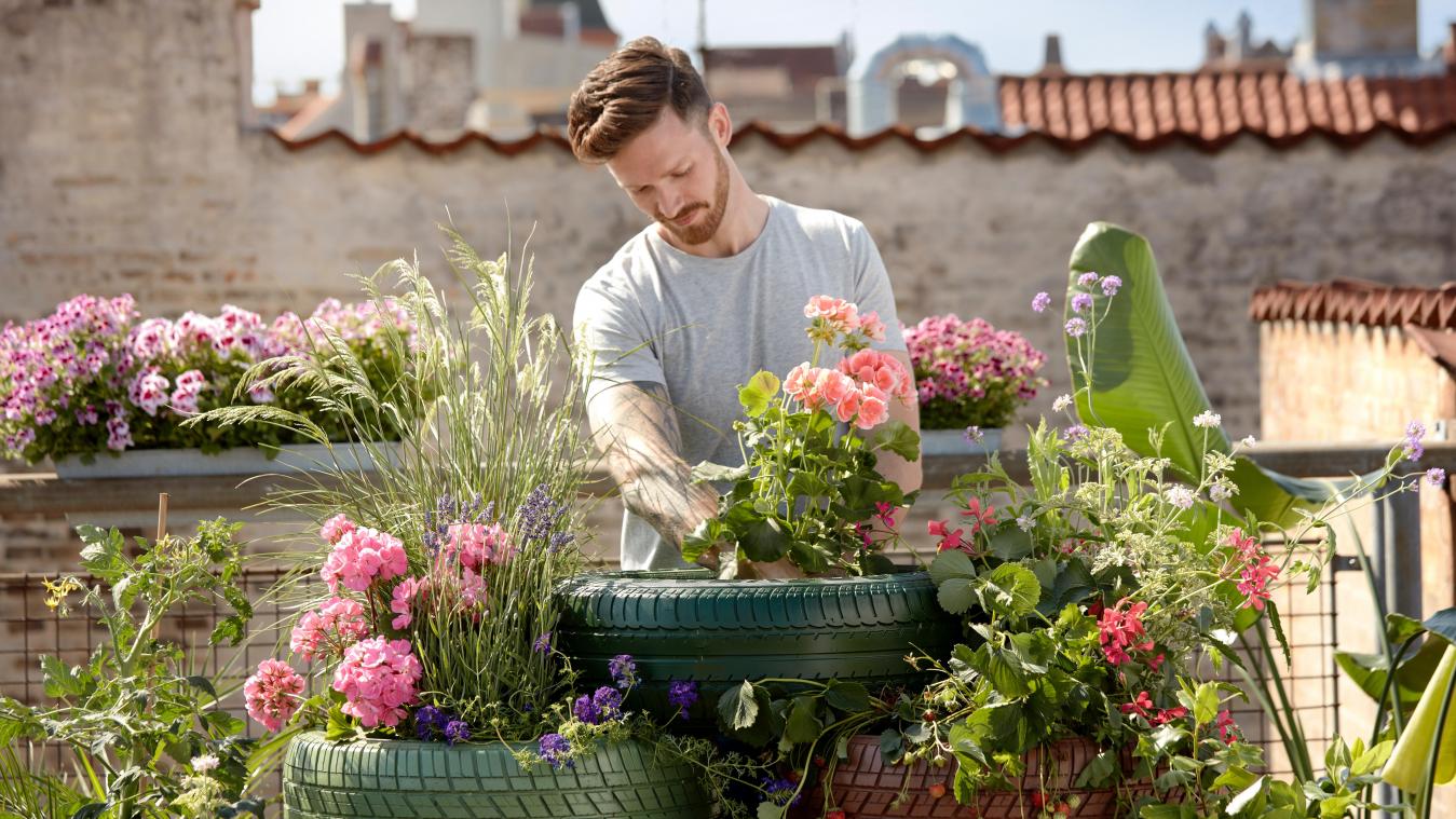 Dankzij deze tips blijft je tuin ook tijdens je vakantie prachtig groen