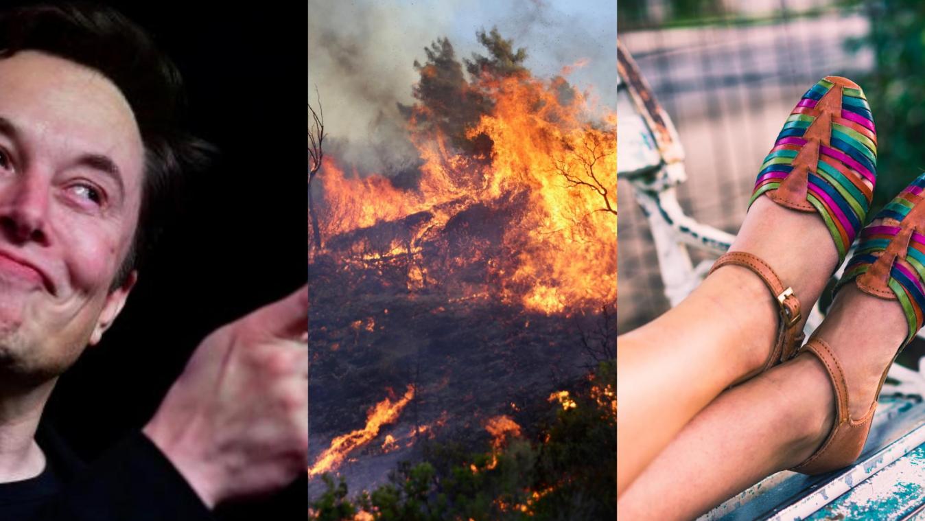 Het belangrijkste nieuws van 24 juli: Twitter verandert van naam, de bosbranden in Griekenland woeden voort en zo houd je je voeten zomerproof