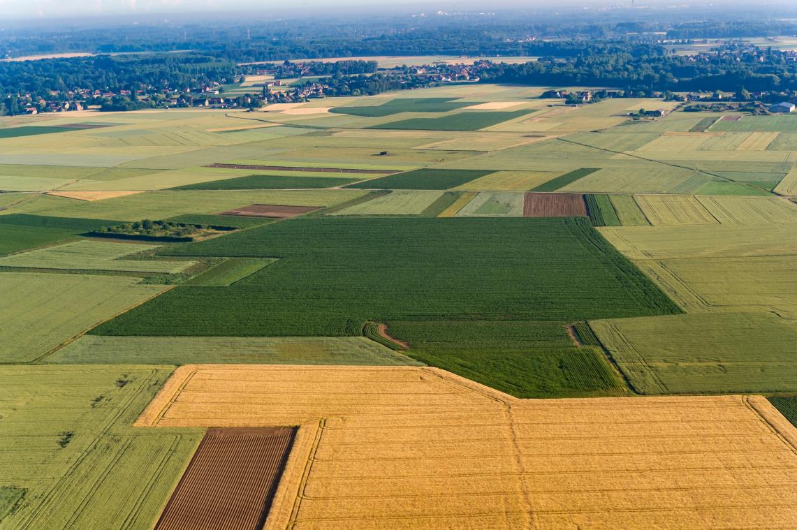 WOW. ZOVEEL procent van Belgische grond is landbouwgrond