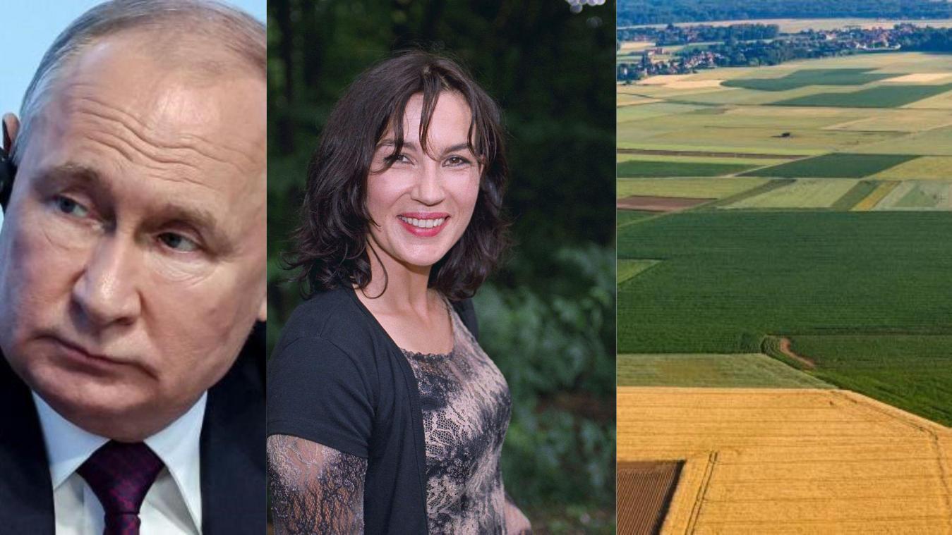 Het belangrijkste nieuws van 30 juli: Presentatrice en zangeres Bea Van der Maat overleden, Rusland sluit militaire deal met 40 Afrikaanse landen, Rejection therapy: helpt deze TikTok-trend daadwerkelijk tegen faalangst?