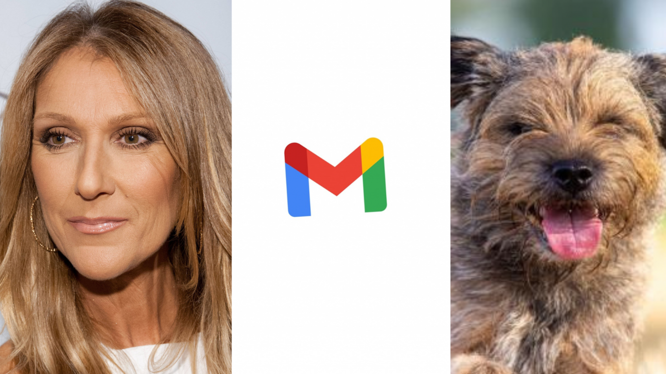 Het belangrijkste nieuws van 4 augustus: Grimmige update over Céline Dion, Google waarschuwt Gmail-gebruikers en hond legt bijna 200 km af op zoek naar baasjes