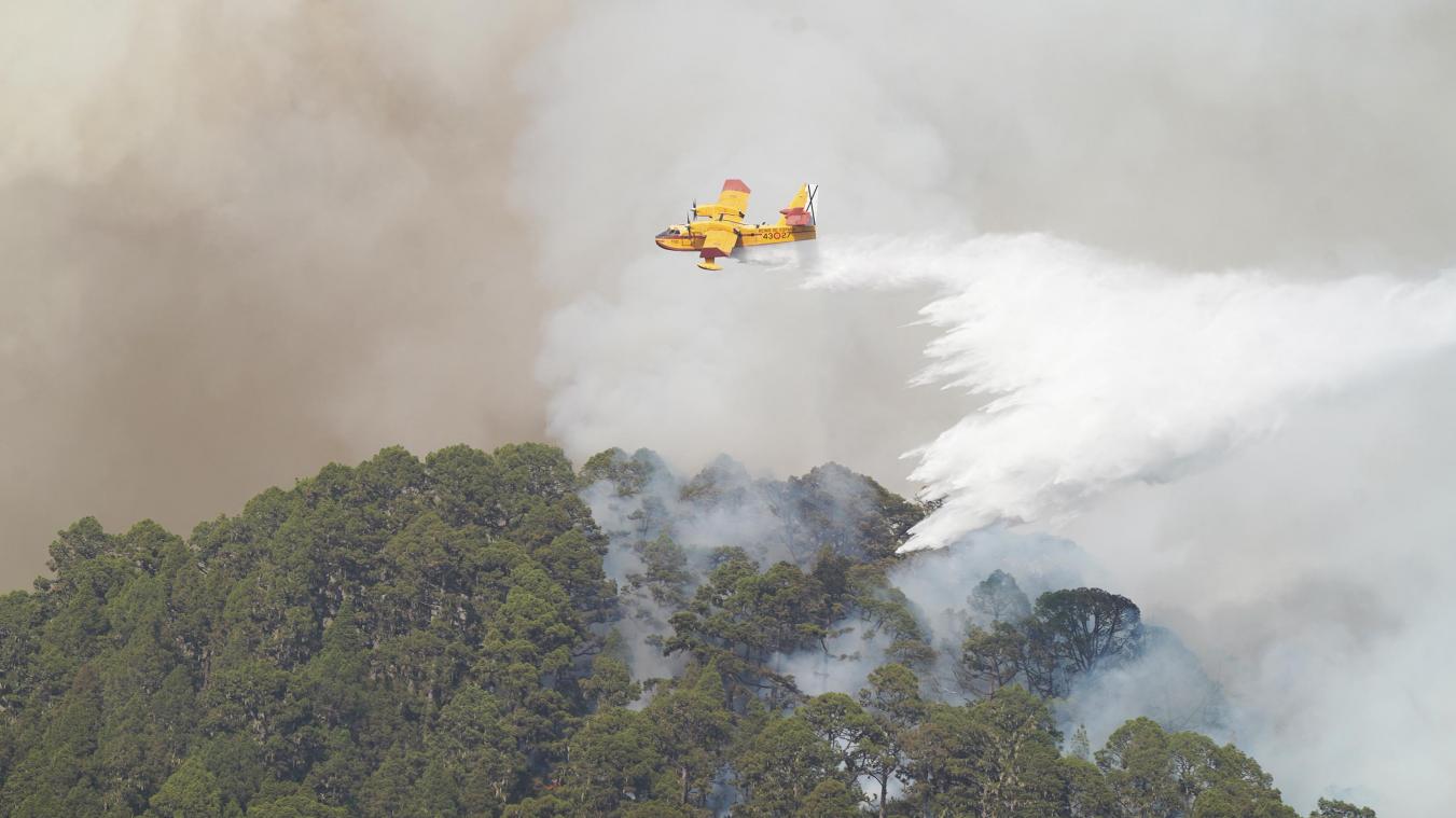 Natuurbrand op Tenerife is «meest gecompliceerde» brand op Canarische Eilanden in 40 jaar