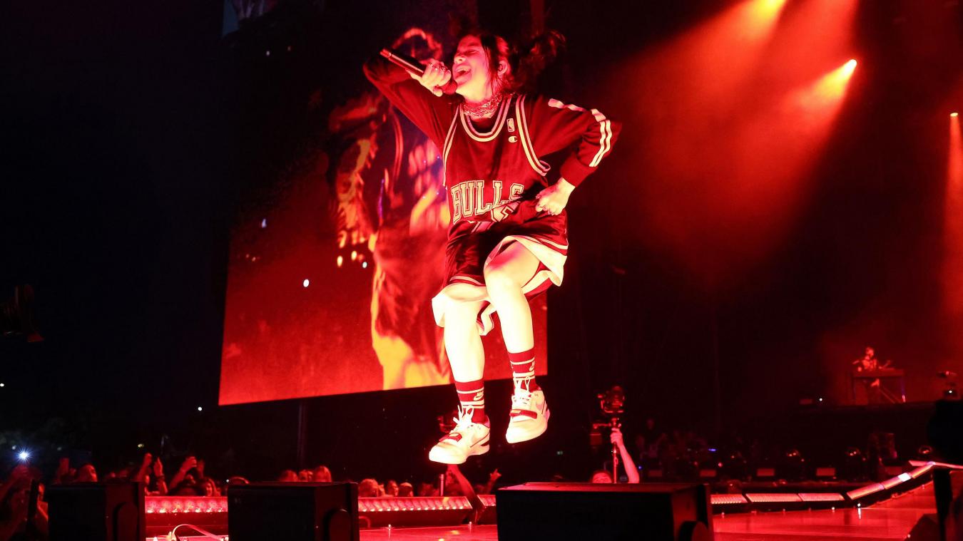 Pukkelpop: wie zijn de fans van Billie Eilish?