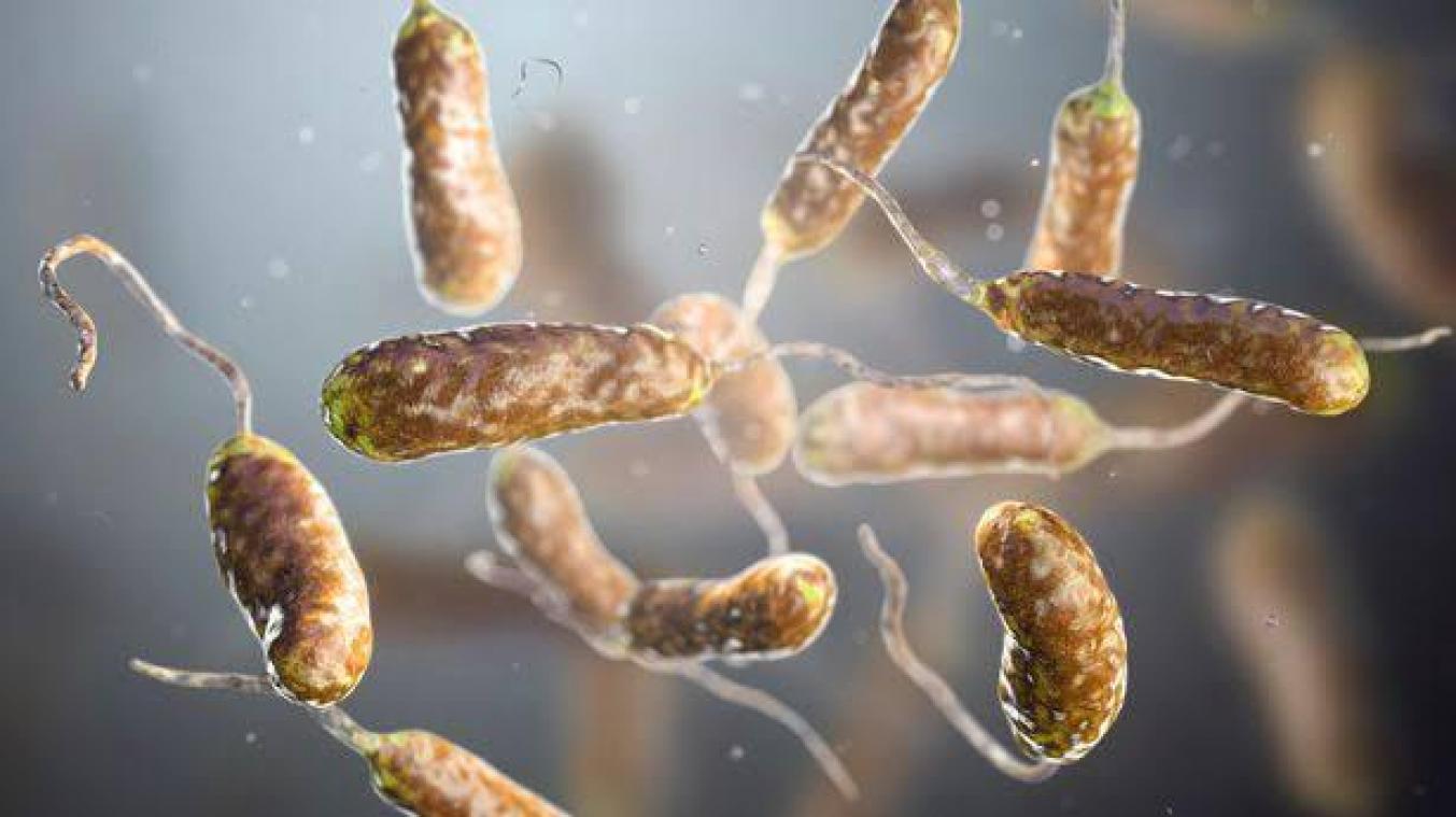 Gevaarlijke vleesetende bacterie maakte dit jaar alleen al 5 doden in Florida