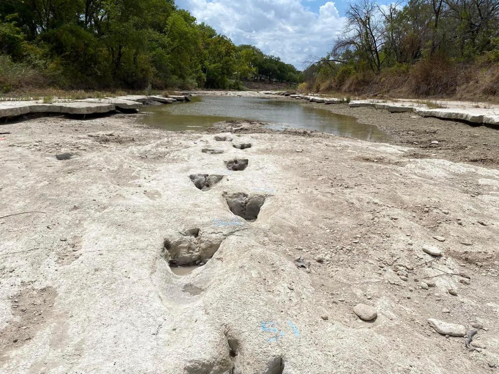 WOW. Droogte legt 113 miljoen jaar oude afdrukken van dinosaurussen bloot in Texas (video)