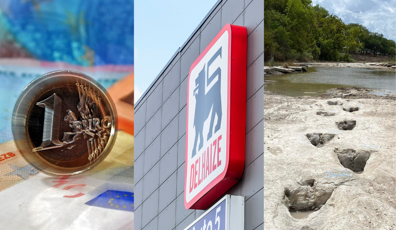 Het belangrijkste nieuws van 31 augustus: Staatsbon flirt met kaap van 20 miljard euro aan inschrijvingen, grote nieuwigheid op til bij Delhaize & droogte legt 113 miljoen jaar oude afdrukken van dinosaurussen bloot