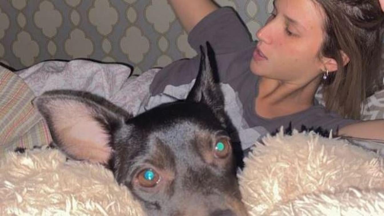 Luchtvaartmaatschappij verliest hond van passagier: «Ze boden me 1.800 dollar aan als compensatie»