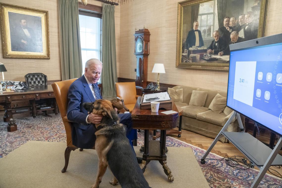 Hond van Biden niet meer welkom in Witte Huis na meerdere bijtincidenten