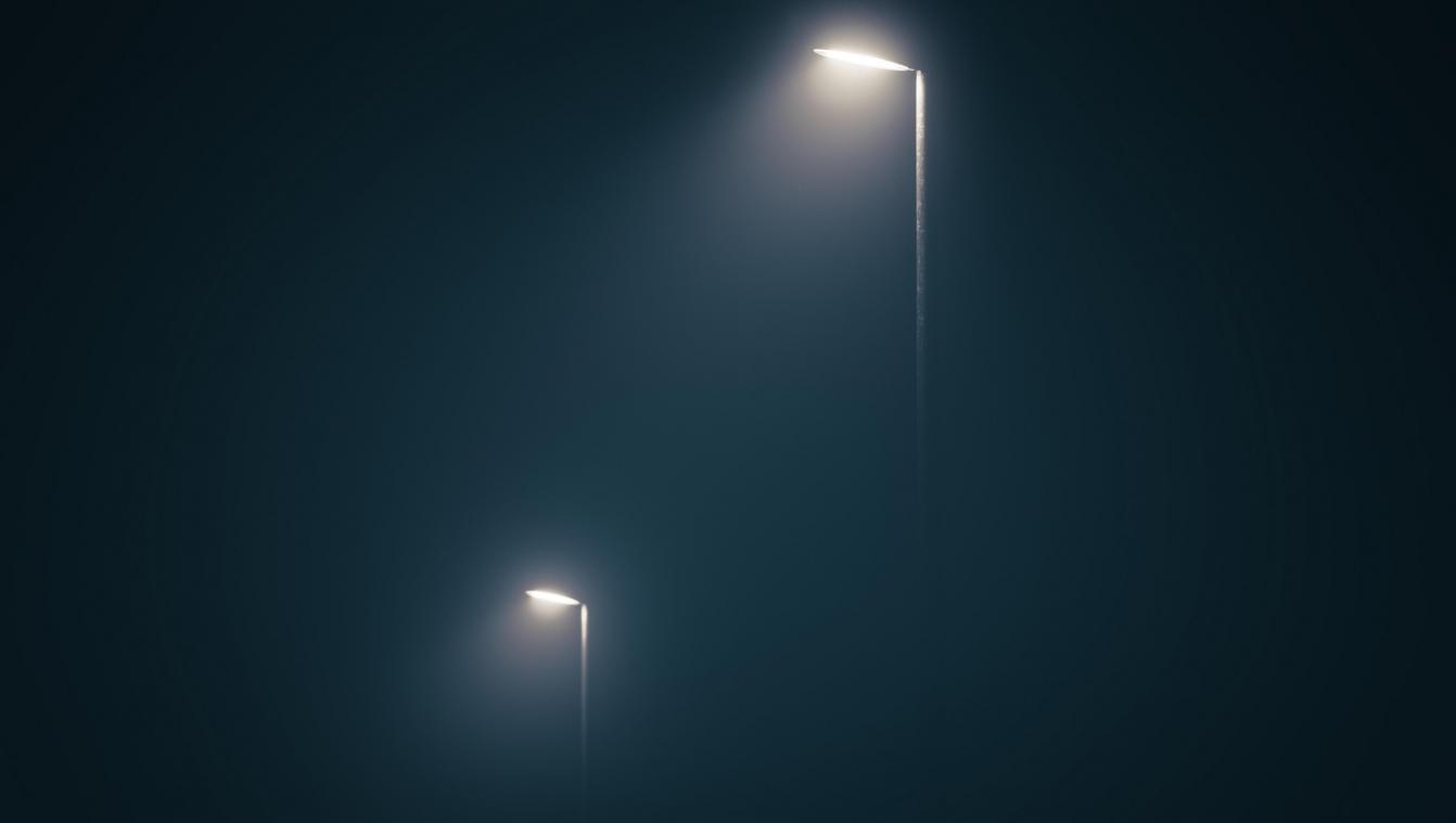 Impact van nachtverlichting op mens en biodiversiteit is groter dan gedacht