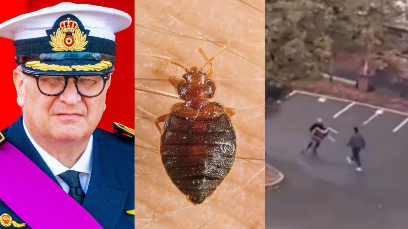 Het belangrijkste nieuws van 13 oktober: Leraar gedood bij mesaanval in Frankrijk, Prins Laurent stelt koningshuis in vraag en bedwantsen onder de loep