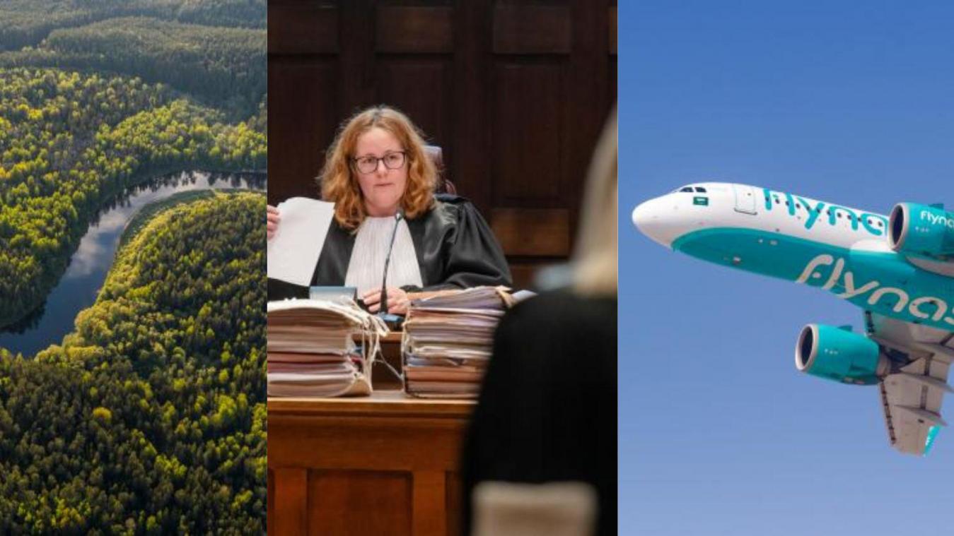 Het belangrijkste nieuws van 24 oktober: Arts die euthanasie Tine Nys uitvoerde maakte geen fout, Wereldwijde ontbossing zet onverminderd door, Binnenkort rechtstreekse vluchten tussen Brussel en Saoedi-Arabië