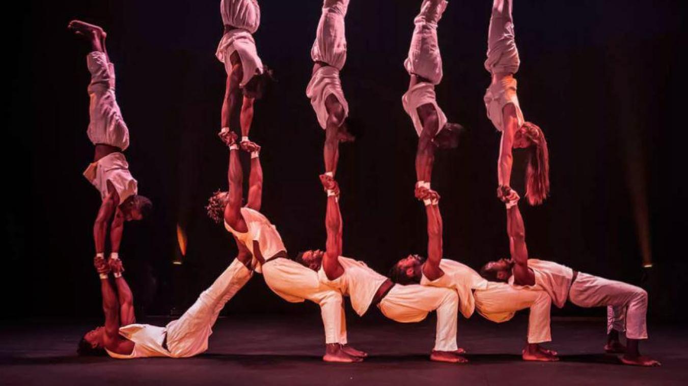 Wat is er te doen deze herfstvakantie? Limburgs circus, knallende jongeren en het paradijs voor boekennerds