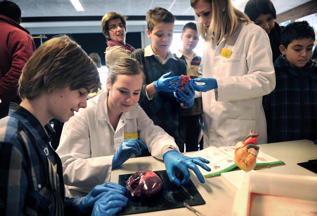 Ook tweede patiënt overleeft transplantatie met varkenshart niet