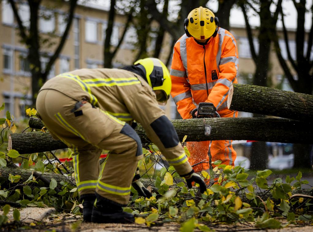 Afgebroken boom maakt dodelijk slachtoffer in Gents Citadelpark