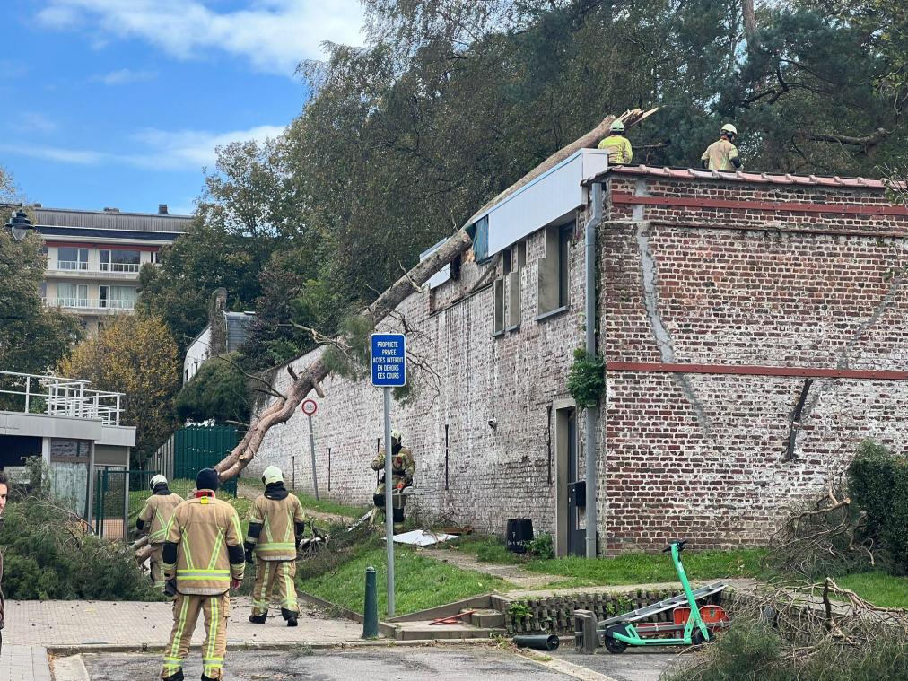Storm Ciarán: wat moet je doen bij stormschade?
