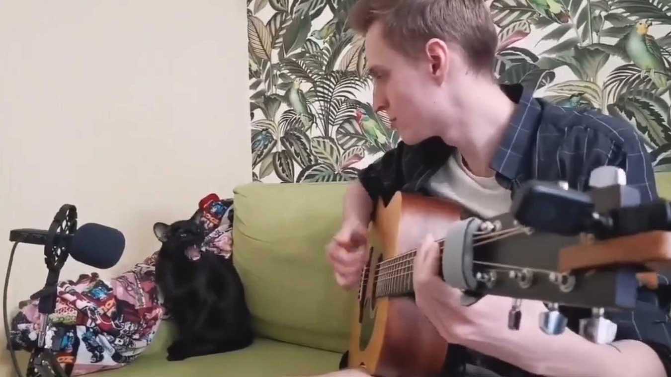 HILARISCH! Kat etaleert zangtalent: «Onvoorstelbaar dat het zo goed op de maat is!» (video)