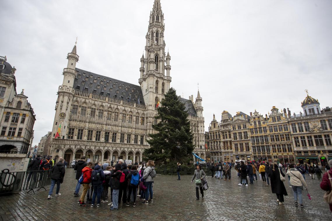Winterpret kan beginnen: Kerstboom aangekomen op Brusselse Grote Markt