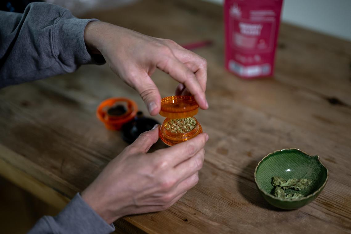 Sterkere cannabis en samenwerking tussen criminele organisaties leidt tot nieuwe risico’s