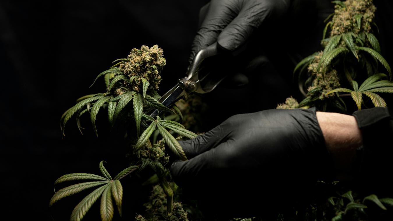 OEPS. Drugskoerier verwart politiewagen met auto van klant