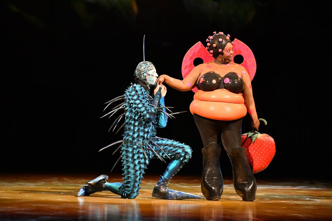 Antwerpen: Cirque du Soleil komt terug met ‘OVO’