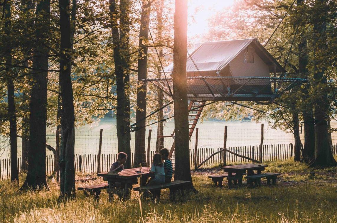 Een nacht tussen de herten: op avontuur in de Tree Tents van de Grotten van Han