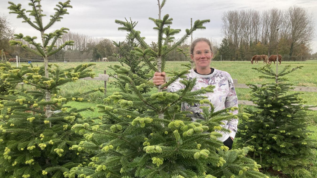 Ook in 2024 kan je opnieuw een plekje reserveren op het kerstbomenpension in Puurs