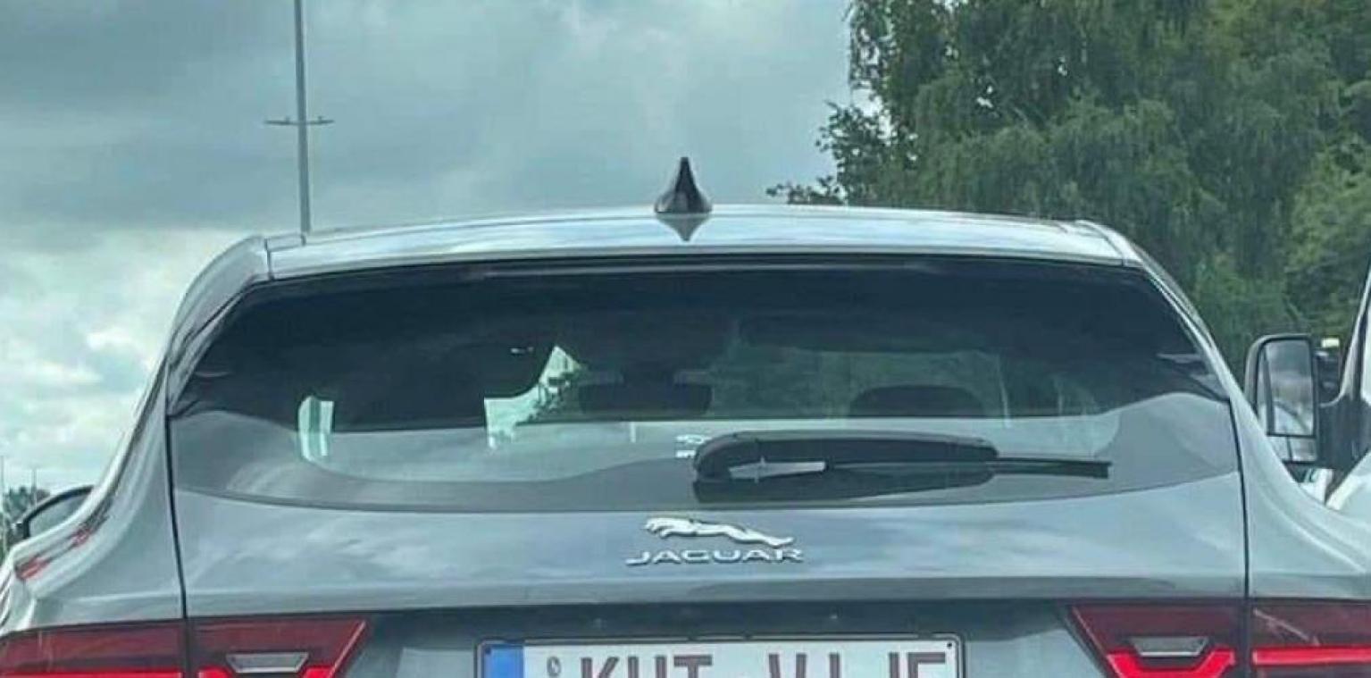 Deze pikante nummerplaat kan je kopen voor Warmste Week: «Mensen noemden mij een strekenwijf»