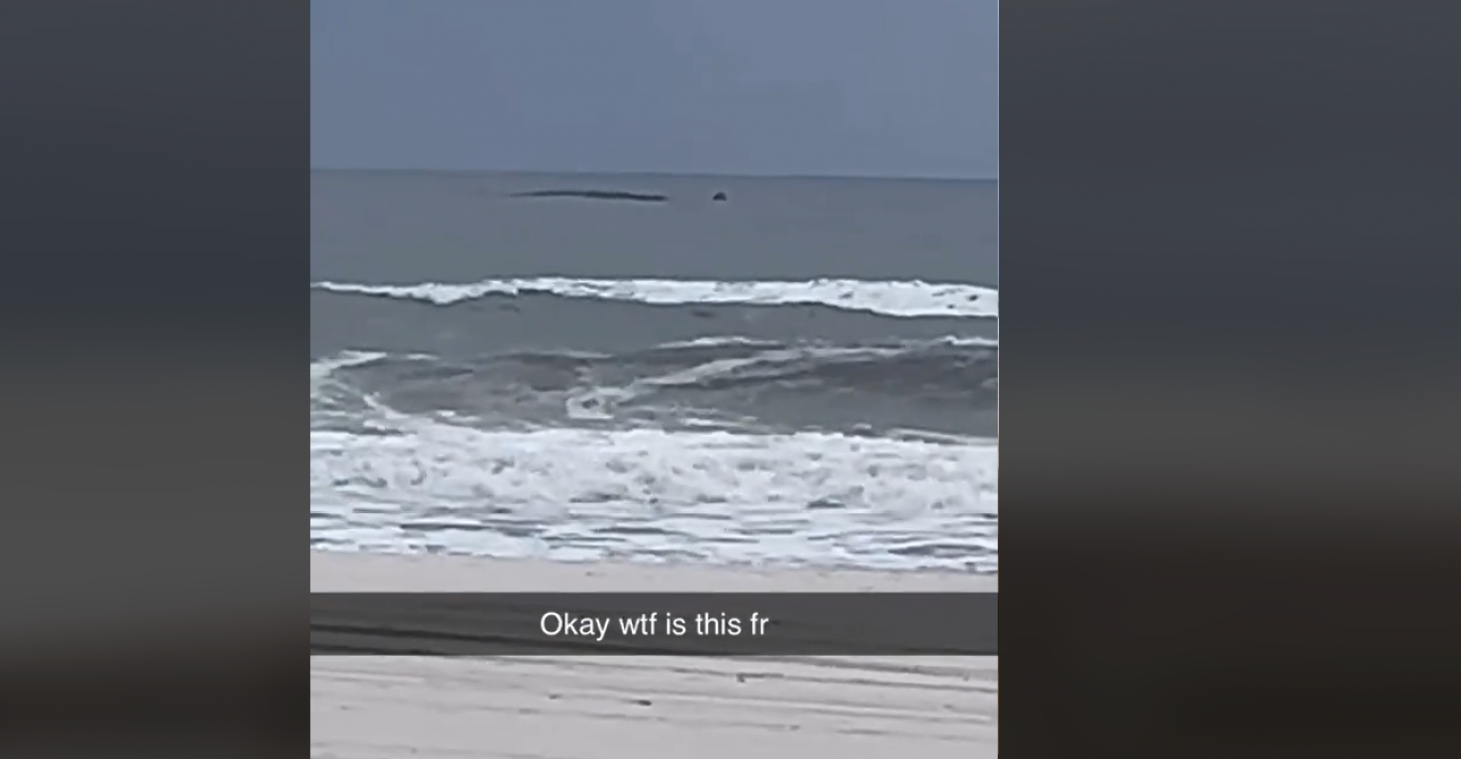 Strandganger spot mysterieus zeewezen: «Het is net het monster van Loch Ness»