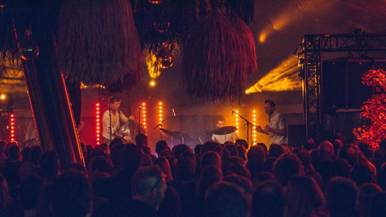Vakantietip: Zebrawoods brengt topartiesten naar Gent