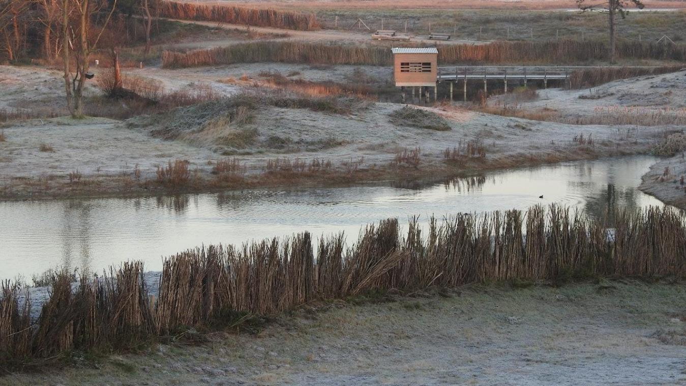 Vakantietip: Winter in het Zwin