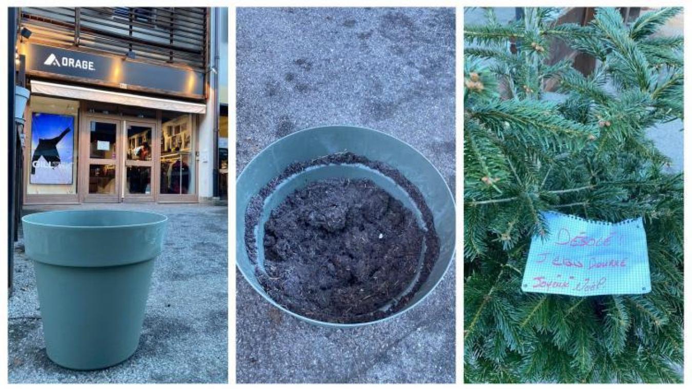 Waalse kerstboomdief verontschuldigt zich: «Sorry, ik was dronken»