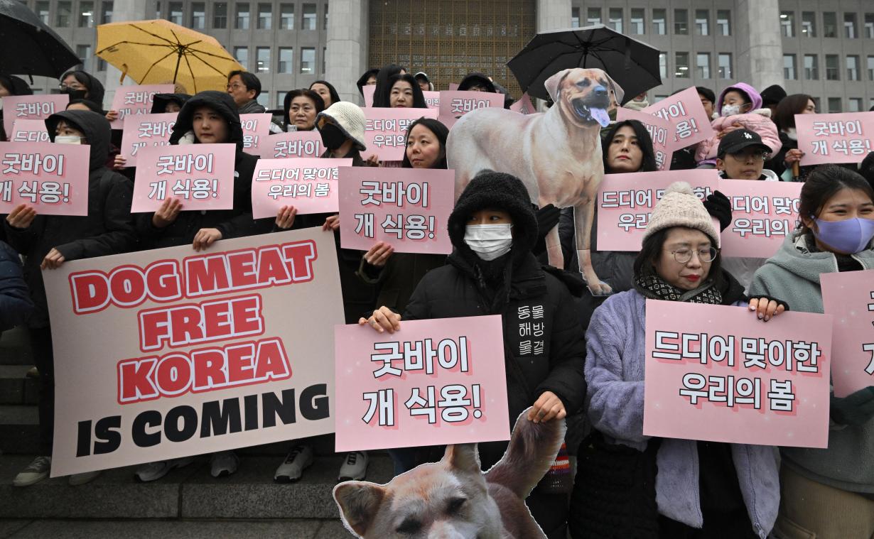 Zuid-Korea verbiedt slachten van honden en verkoop hondenvlees