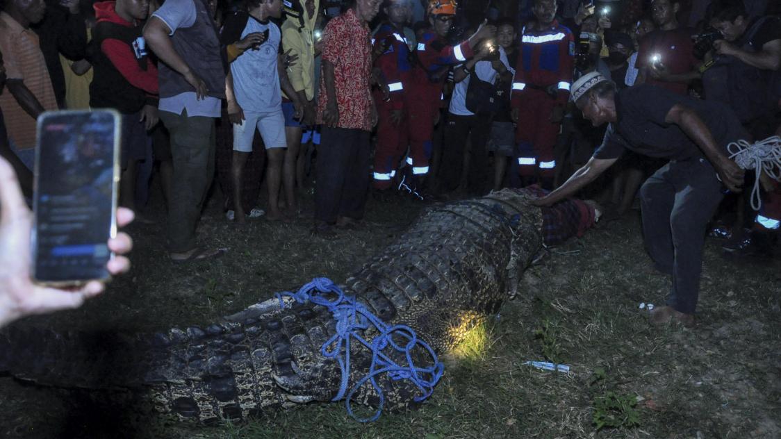 BELGAIMAGE-187320453