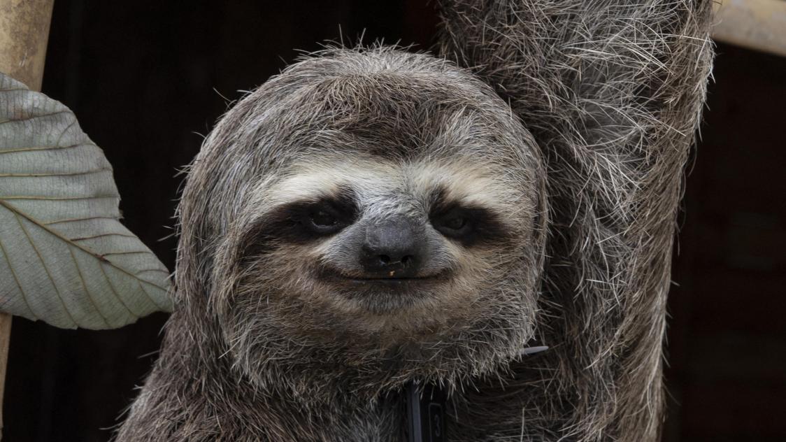 BELGAIMAGE-182364801