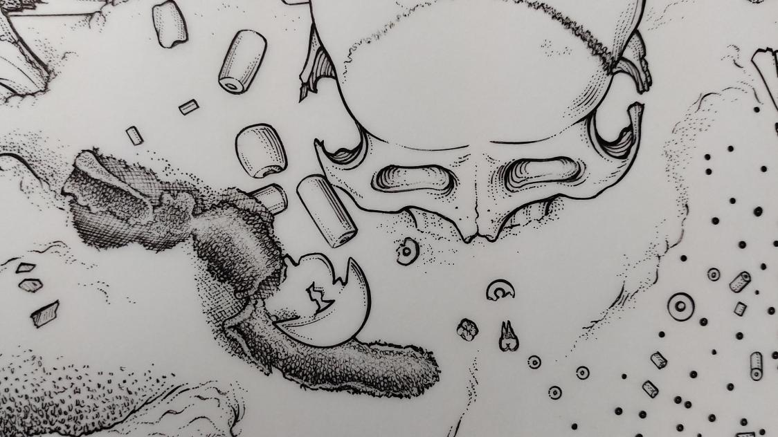 BELGAIMAGE-189479197