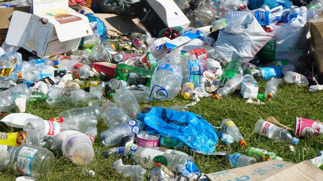 ariungoo-batzorig-K6EhmBlLIk8-unsplash