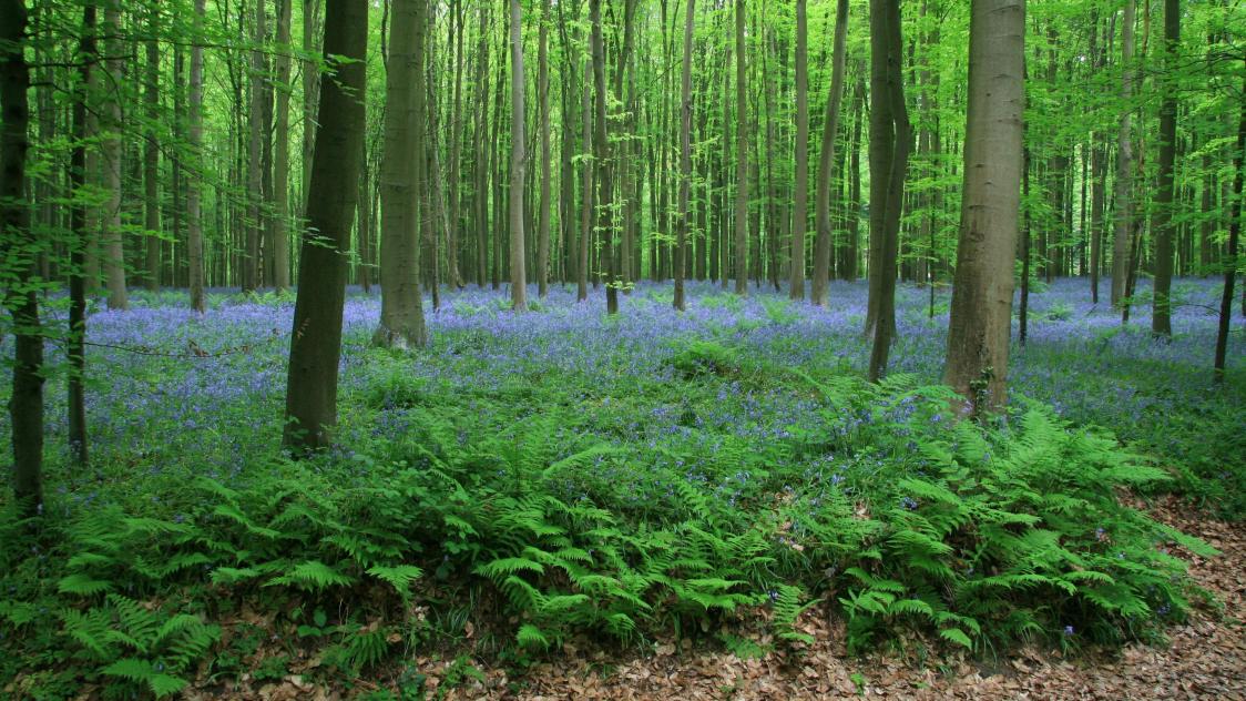 peter-bromley-oIBax3lxJkQ-unsplash