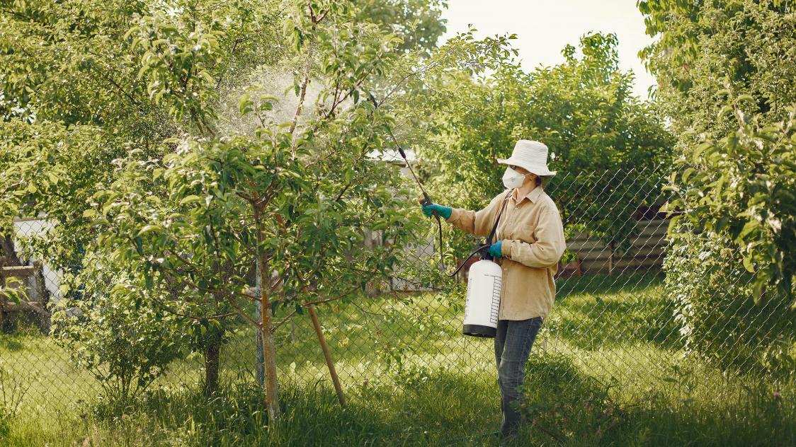 pexels-gustavo-fring-4894608