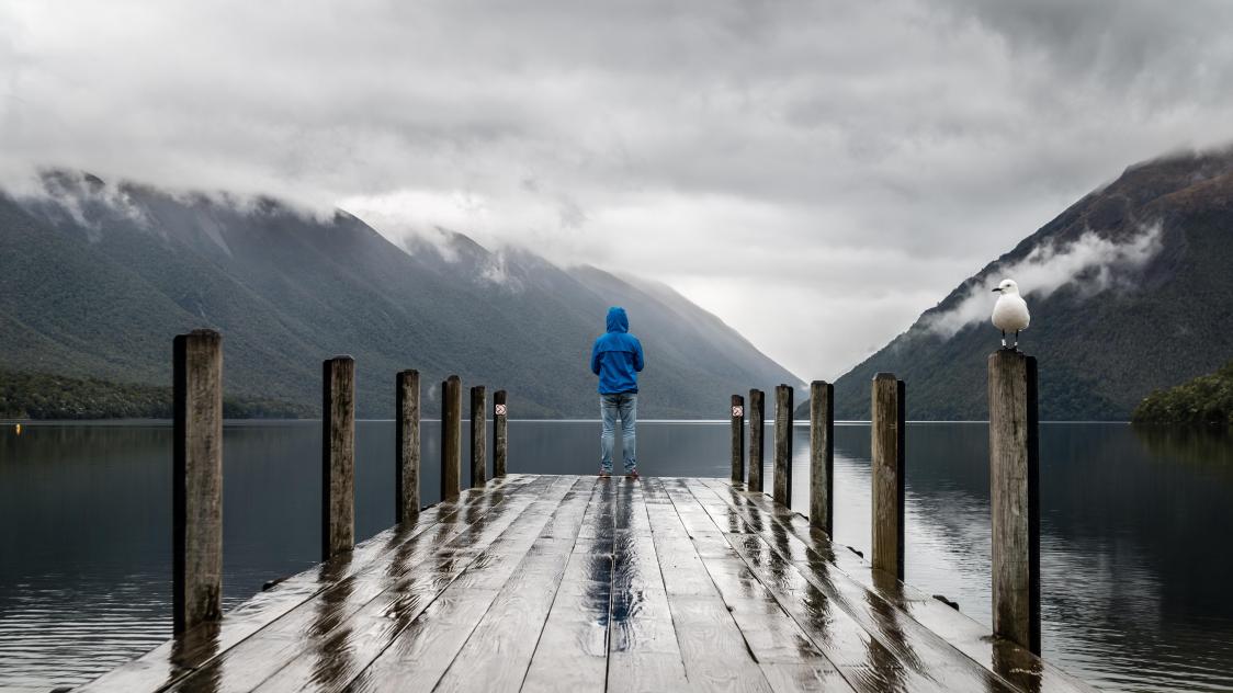 pexels-gabriela-palai-395196