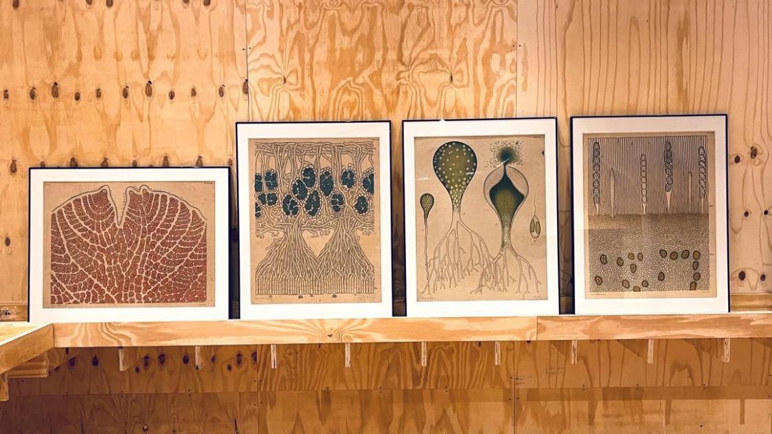 Picturesque Foto civa.brussels