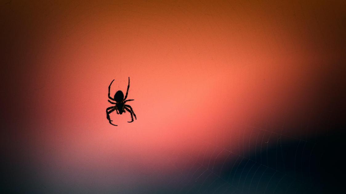 vidar-nordli-mathisen-gF7QEWM7tm4-unsplash