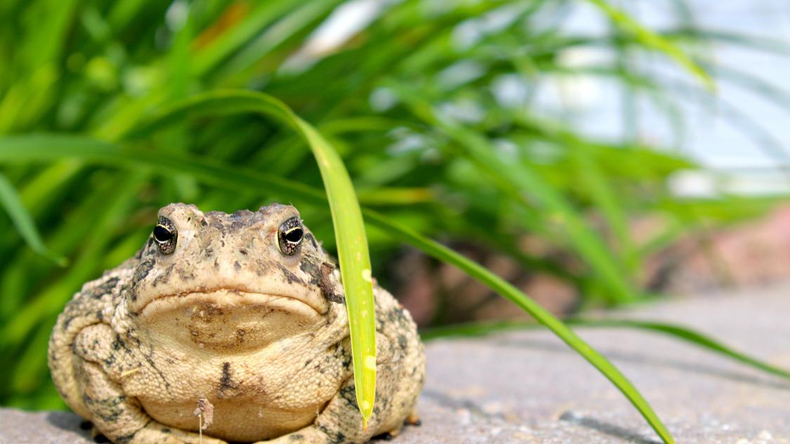 laura-seaman-PsnkF30YFJg-unsplash