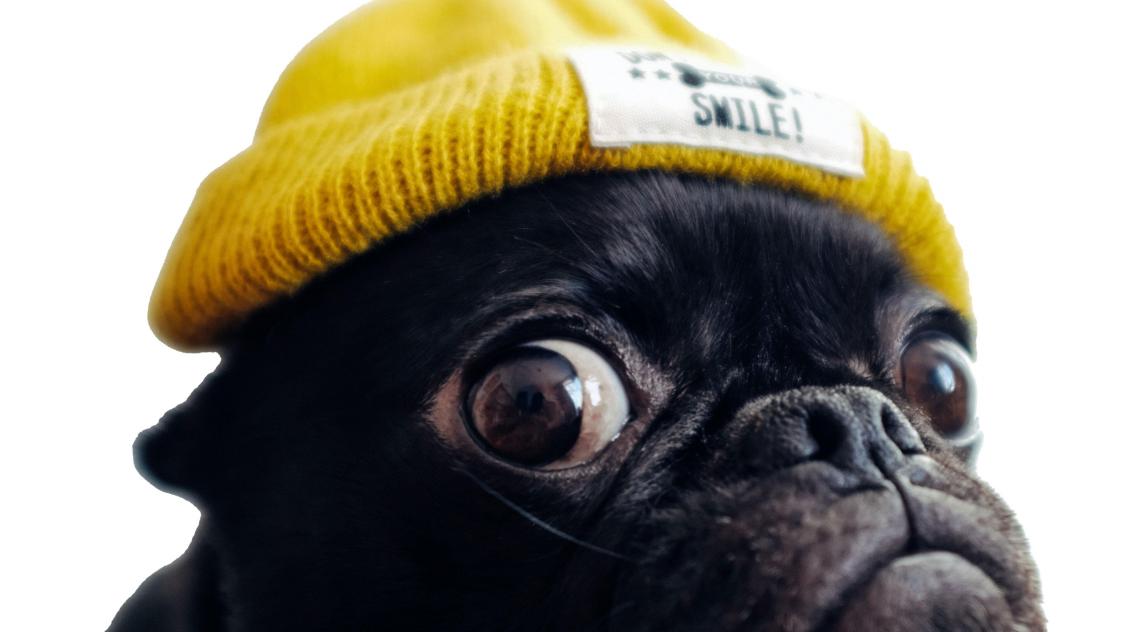 toshi-K5pLGYJMHKk-unsplash_det